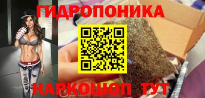 стафф Пенза
