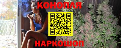 стафф Пенза