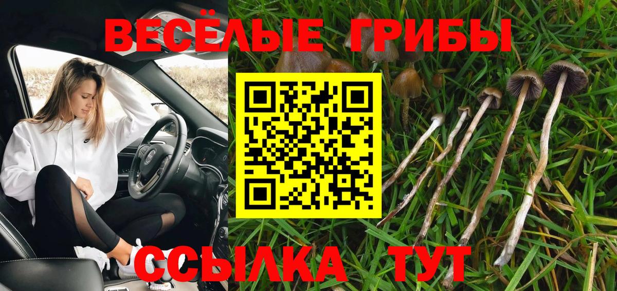 Псилоцибиновые грибы ЛСД Нурлат