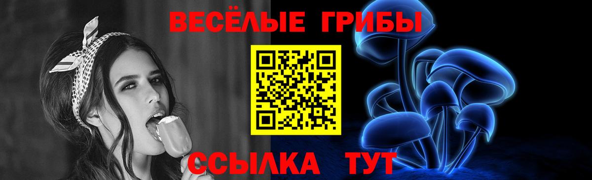 Нурлат  Галлюциногенные грибы GOLDEN TEACHER  Вход с VPN  наркошоп  Псилоцибиновые грибы GOLDEN TEACHER 